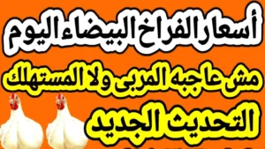 بعد آخر ارتفاع.. بورصة الدواجن اليوم أسعار الفراخ البيضاء الأربعاء 3 ديسمبر 2025 في الأسواق المحلية